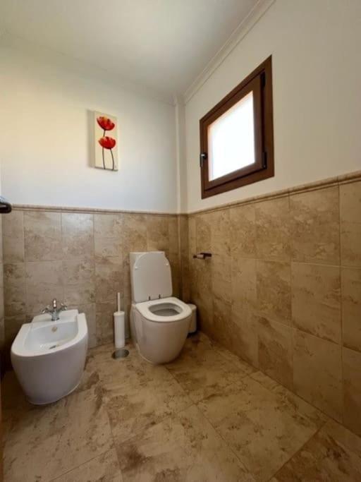 Trendy Villa For 14 Pers. Nearby Murcia/Alicante エクステリア 写真